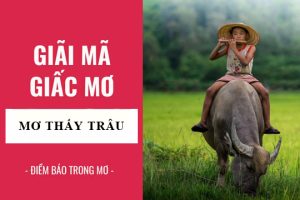 Nằm mơ thấy trâu đánh con gì